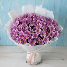 Букет цветов из:  Хризантемы в Старобалтачево