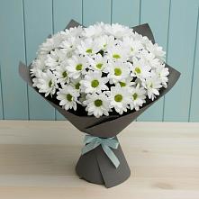 Букет цветов из:  Хризантемы #REPLACE_PRED# Старобалтачево