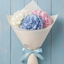 Букет цветов из:  Гортензия в Старобалтачево