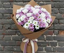 Букет цветов из:  Хризантемы в Старобалтачево