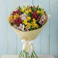 Букет цветов из:  Альстромерии в Старобалтачево