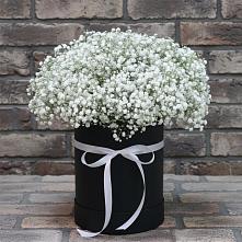 Цветочная композиция из Гипсофила в шляпной коробке в Старобалтачево