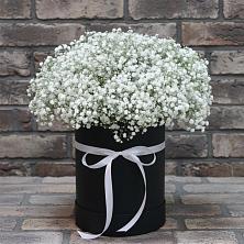 Цветочная композиция из Гипсофила в шляпной коробке в Старобалтачево