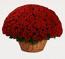 Премиум букет из: Розы в Старобалтачево